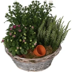 Herbst-Arrangement Im Korb-Gefäß Ø Ca. 21 Cm