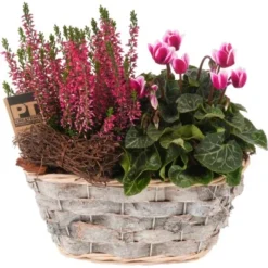 Herbst-Arrangement Im Ovalen Korb-Gefäß Ø Ca. 27 Cm