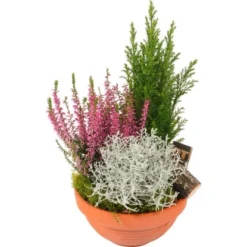 Herbst-Arrangement Im Terracotta-Gefäß Ø Ca. 19 Cm