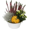 Herbst-Arrangement Im Zink-Gefäß Ø Ca. 20 Cm -Günstiges Heissner Geschäft 8719194348905 4883 1