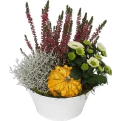 Herbst-Arrangement Im Zink-Gefäß Ø Ca. 20 Cm