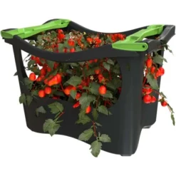 Windhager Pflanzbox Grün 54 Cm X 39 Cm X 40 Cm -Günstiges Heissner Geschäft 9120093420019 1309 1