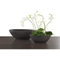 Scheurich Orchideenschale 430 30 Cm X 13 Cm Anthrazit 6 Scheurich Orchideenschale 430 30 Cm X 13 Cm Anthrazit -Günstiges Heissner Geschäft 9144387 2266 2