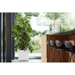 Elho Pflanztopf Vivo Matt Mit Rollen 39 Cm X 39 Cm X 41 Cm Weiß -Günstiges Heissner Geschäft 9345455 4667 4