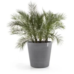 Ecopots Pflanztopf Amsterdam Mit Rollen Ø 60 Cm Grau -Günstiges Heissner Geschäft 9434804892 3