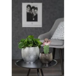 Scheurich Übertopf 732 Ø 17 Cm X 16 Cm Platinum Silver -Günstiges Heissner Geschäft 949965 2266 3