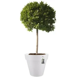 Elho Blumentopf Pure Ø 39 Cm Weiß -Günstiges Heissner Geschäft 966886 4667 06