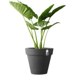 Elho Blumentopf Pure Ø 39 Cm Anthrazit -Günstiges Heissner Geschäft 966887 4667 04