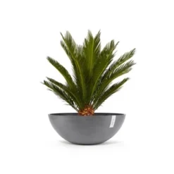 Ecopots Pflanztopf Vienna Grau 70 Cm X 25,5 Cm -Günstiges Heissner Geschäft 9 11012100 Vienna70Grey 01