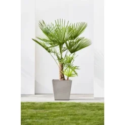 Ecopots Pflanztopf Rotterdam Rollen Braungrau 49,7 Cm X 50 Cm -Günstiges Heissner Geschäft RotterdamWheels50Taupe 90