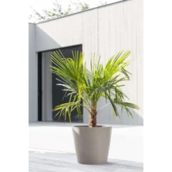 Ecopots Pflanztopf Amsterdam Taupe 40 Cm X 35 Cm -Günstiges Heissner Geschäft am40WaterReservoirTaupe 91