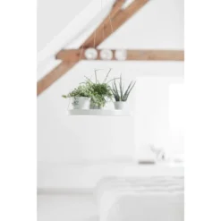 Ecopots Untersetzer Hängend Weiß 36 Cm X 3 Cm -Günstiges Heissner Geschäft angingSaucer36PureWhite 90