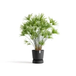 Ecopots Untersetzer Oslo Rollen Dunkelgrau 32,2 Cm X 8,5 Cm -Günstiges Heissner Geschäft cerWheelsOslo35DarkGrey 11