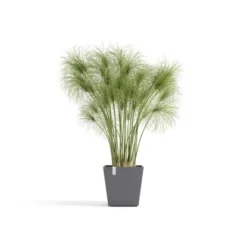 Ecopots Pflanztopf Rotterdam Grau 25,2 Cm X 24,5 Cm -Günstiges Heissner Geschäft dam25WaterReservoirGrey 01