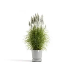 Ecopots Untersetzer Oslo Rollen Weißgrau 41 Cm X 9,5 Cm -Günstiges Heissner Geschäft erWheelsOslo45WhiteGrey 11