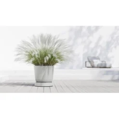 Ecopots Untersetzer Oslo Rollen Weißgrau 50 Cm X 10,5 Cm -Günstiges Heissner Geschäft erWheelsOslo55PureWhite 90