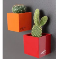 KalaMitica Kunststoffgefäß Mit Magnet Kasten 14 Cm X 7 Cm Glyzine -Günstiges Heissner Geschäft itica anwendungsbeispiel 3