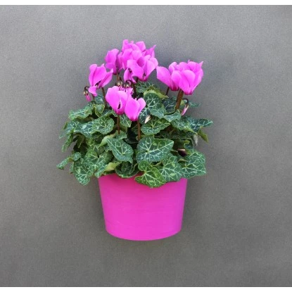 KalaMitica Metallplatte 56 Cm X 38 Cm Anthrazit 9 KalaMitica Metallplatte 56 Cm X 38 Cm Anthrazit – Bild 7