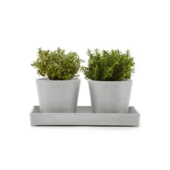 Ecopots Untersetzer Eckig Weißgrau 25 Cm X 10 Cm X 2,5 Cm -Günstiges Heissner Geschäft splayPlatter25WhiteGrey 11