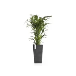 Ecopots Pflanztopf Rotterdam Halbhoch Dunkelgrau 31 Cm X 56 Cm -Günstiges Heissner Geschäft terdamMidHigh56DarkGrey 02