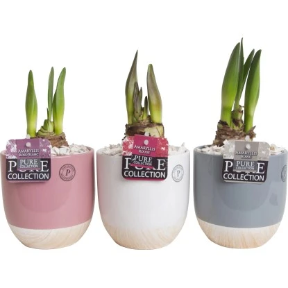 Günstiges Heissner Geschäft 30 Günstiges Heissner Geschäft -Günstiges Heissner Geschäft 1